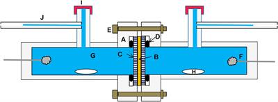 Electro-Osmotic Flow of Water–Methanol Mixtures Through Nafion Membranes Revisited: Composition and Temperature Dependence